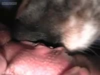Sexy grandma with a big wet pussy is having fun with her dog